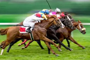 horses racing bet